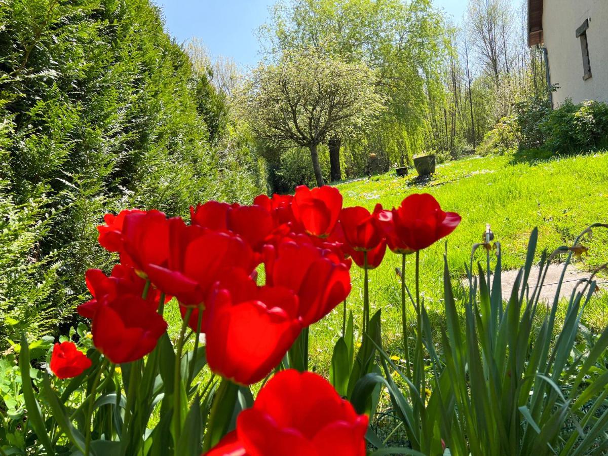 De Jardin Monet Giverny Vernon * Sainte-Genevieve-les-Gasny