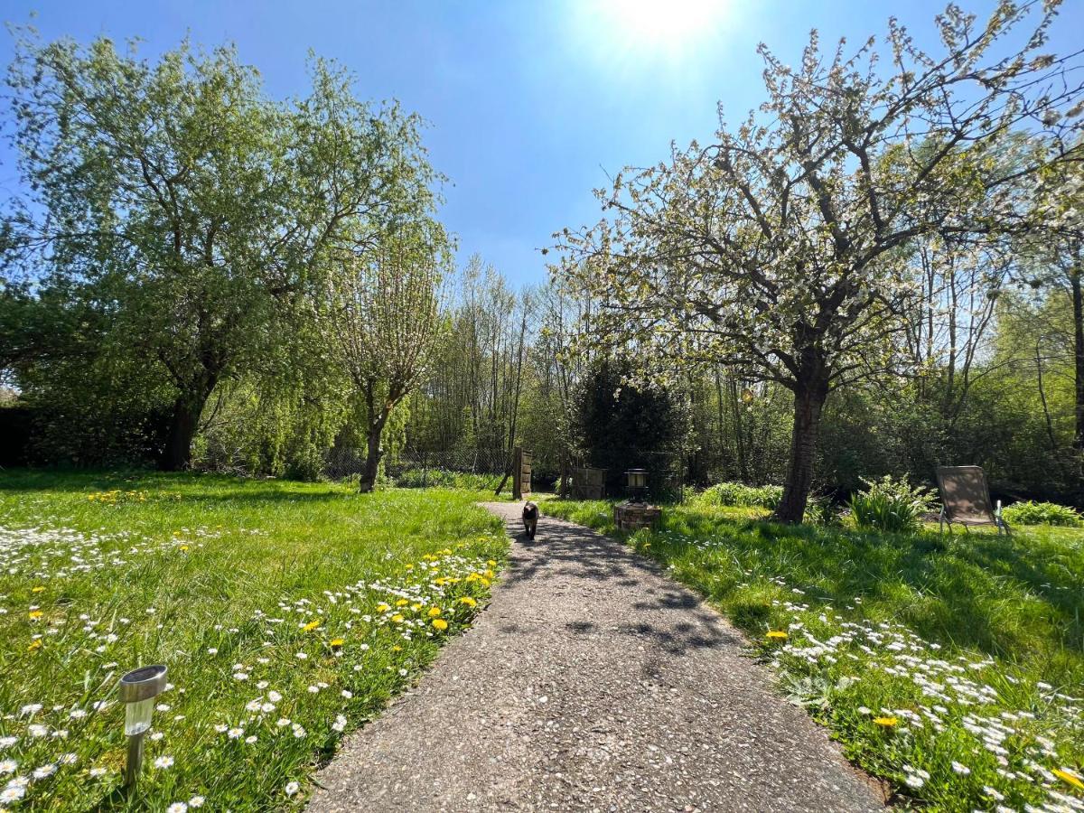 De Jardin Monet Giverny Vernon
