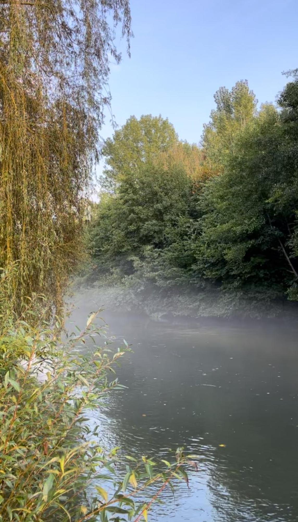 De Jardin Monet Giverny Vernon